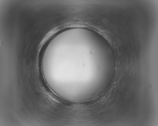 X0000080740296200612150939