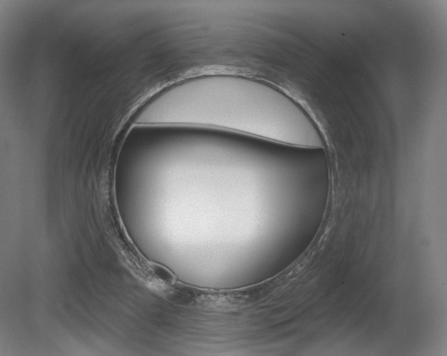 X0000080740297200612150939