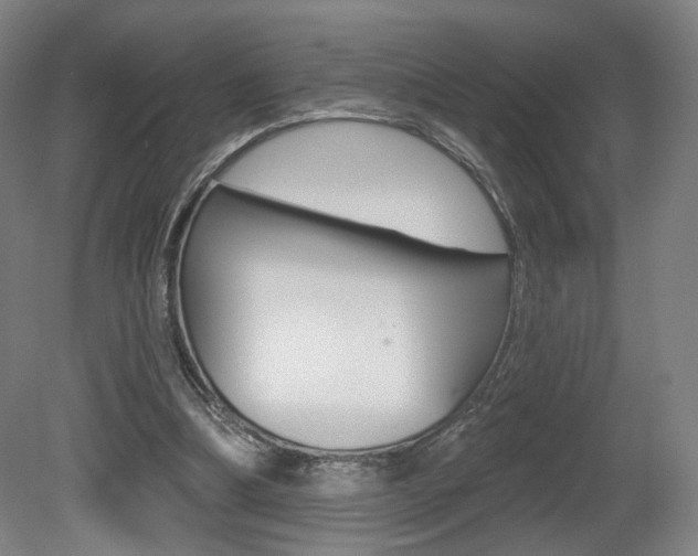 X0000080740298200612150939