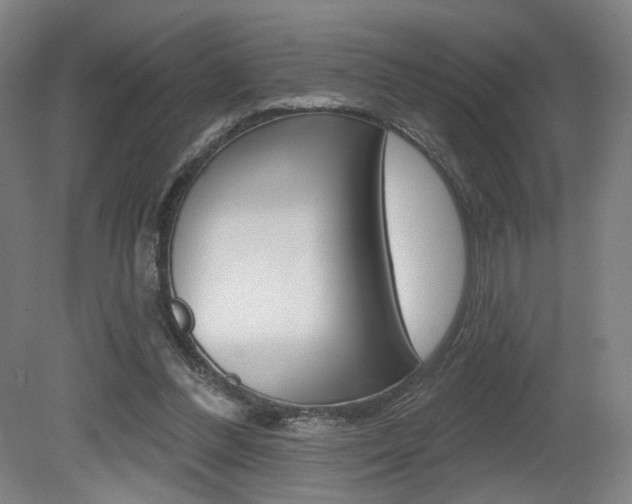 X0000080740300200612150939