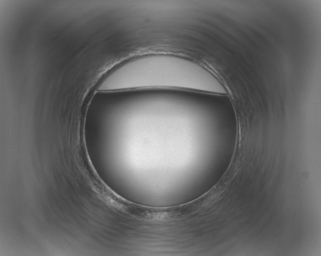 X0000080740301200612150939
