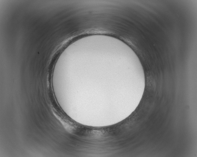 X0000080740302200612150939