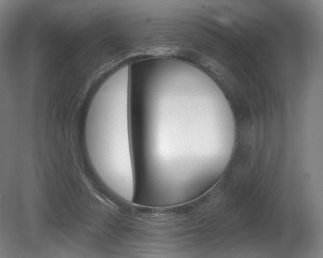 X0000080740303200612150939