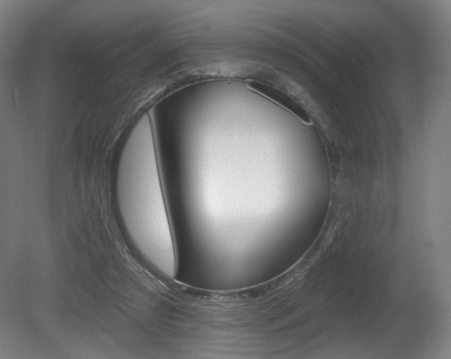 X0000080740305200612150939