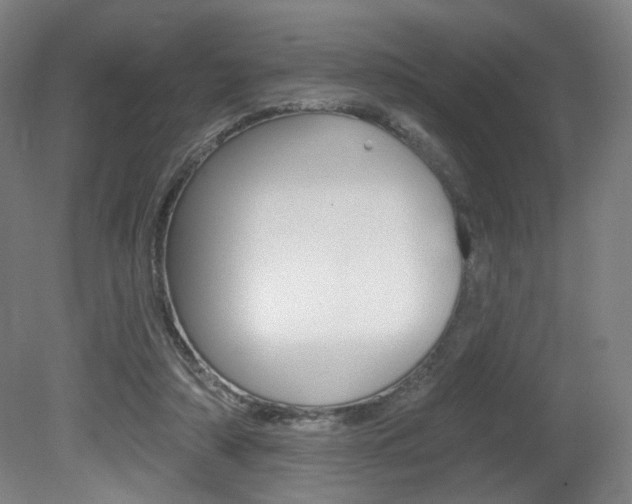 X0000080740306200612150939