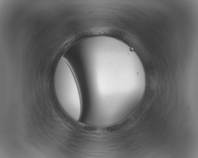 X0000080740308200612150939
