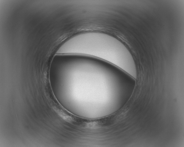 X0000080740309200612150939
