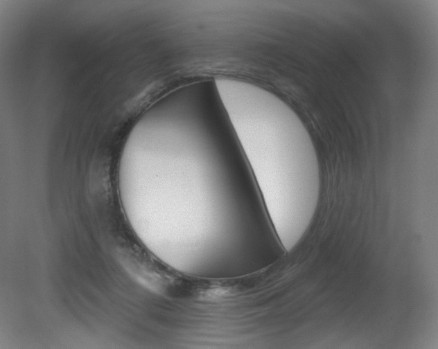 X0000080740312200612150939