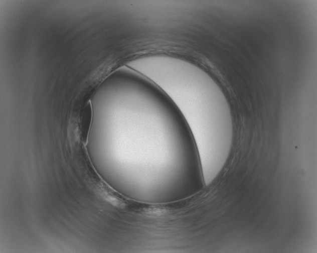 X0000080740313200612150939