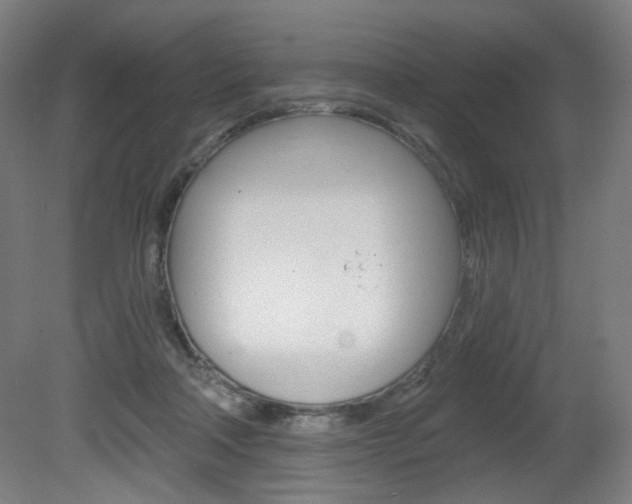X0000080740314200612150939