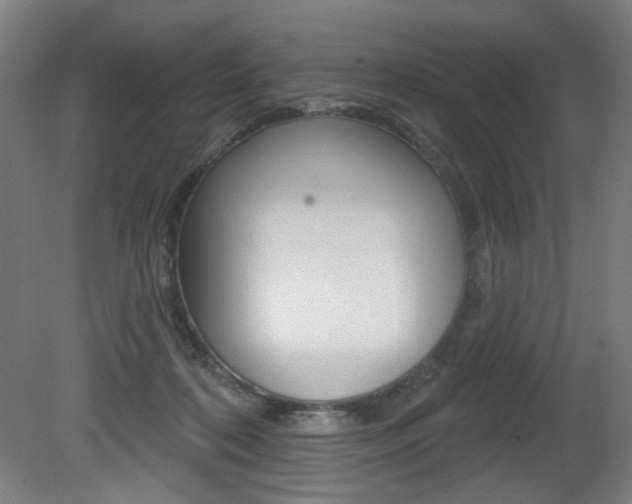 X0000080740316200612150939