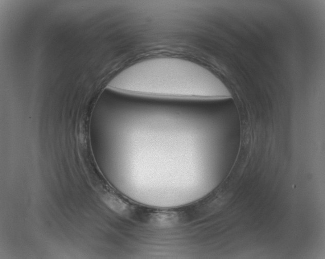 X0000080740317200612150939