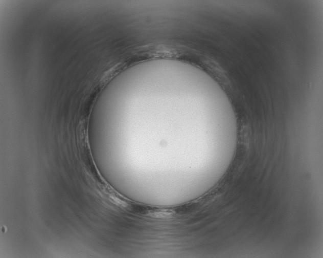 X0000080740318200612150939