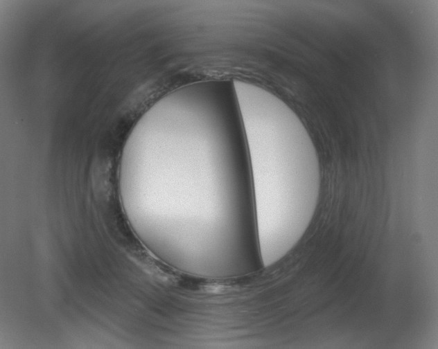 X0000080740319200612150939