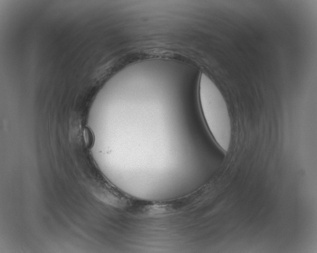 X0000080740320200612150939