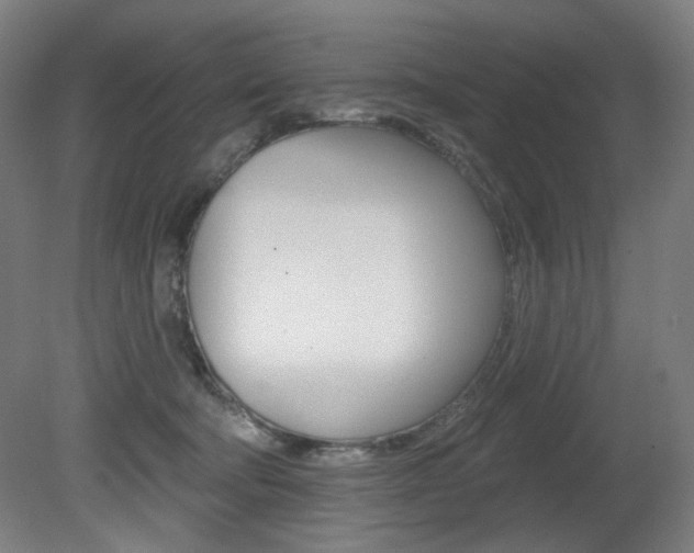 X0000080740322200612150939
