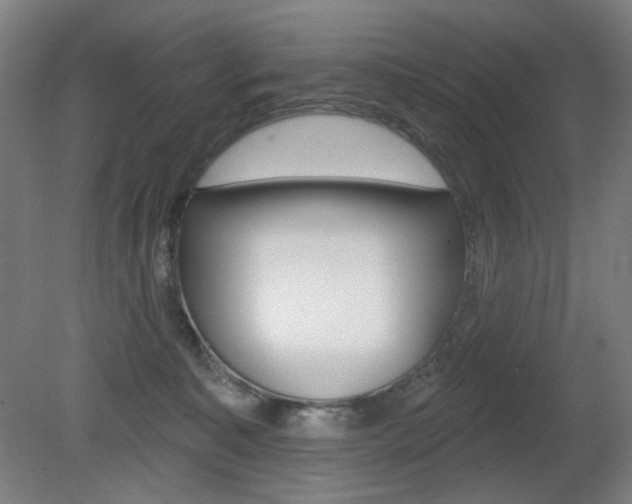 X0000080740323200612150938