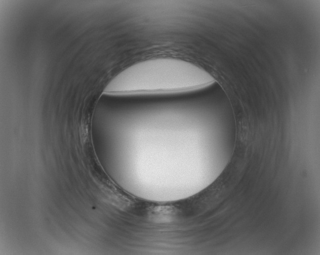 X0000080740324200612150938