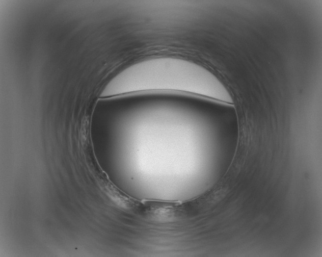 X0000080740325200612150938
