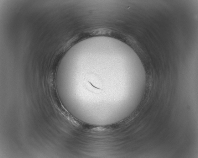 X0000080740326200612150938