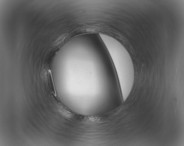 X0000080740329200612150938