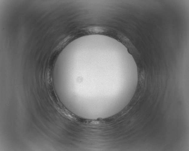 X0000080740330200612150938