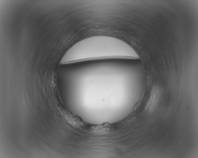X0000080740331200612150938