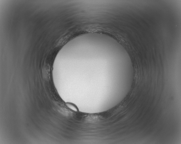 X0000080740332200612150938