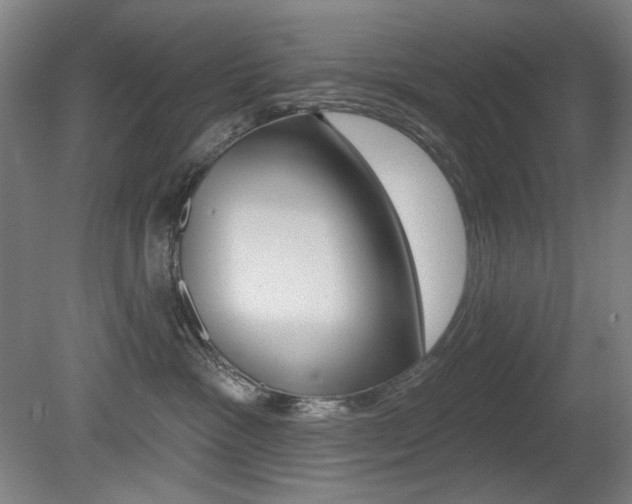 X0000080740333200612150938