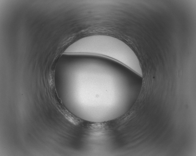 X0000080740335200612150938