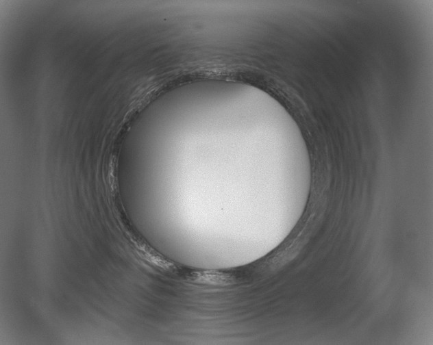 X0000080740336200612150938