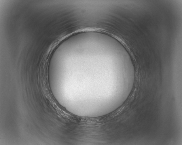 X0000080740337200612150937