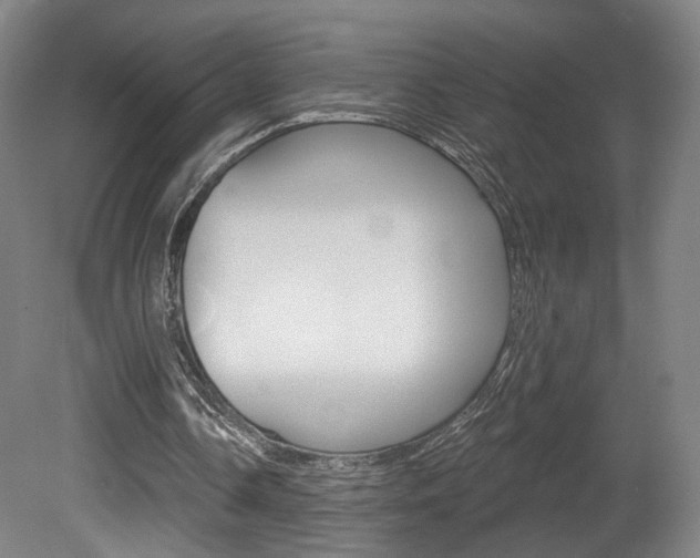 X0000080740338200612150937