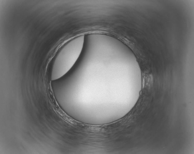 X0000080740339200612150938