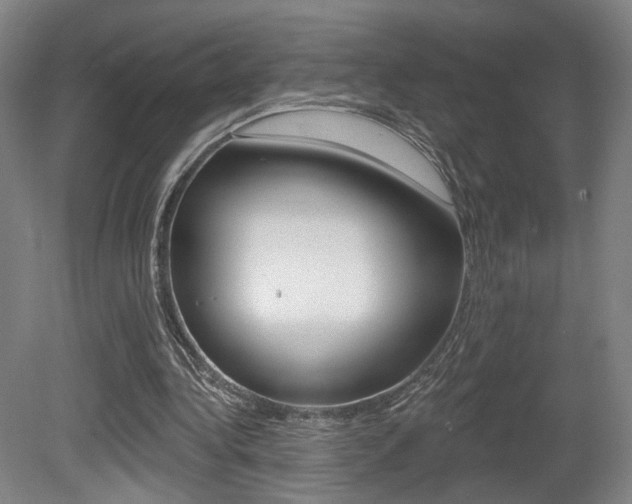 X0000080740340200612150938