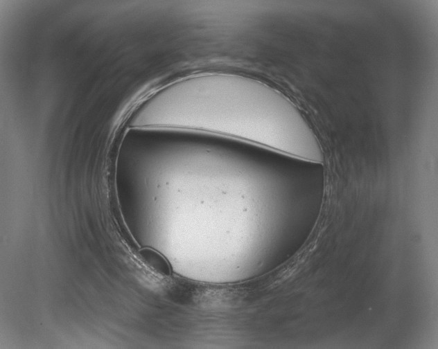 X0000080740341200612150938