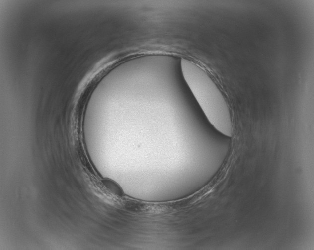 X0000080740343200612150938