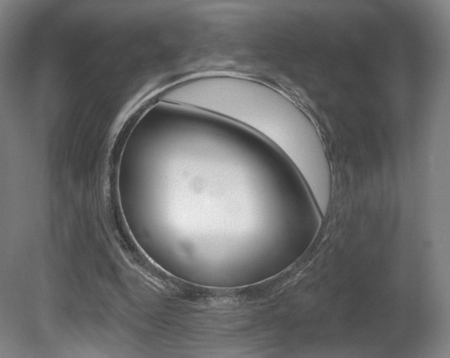 X0000080740344200612150938