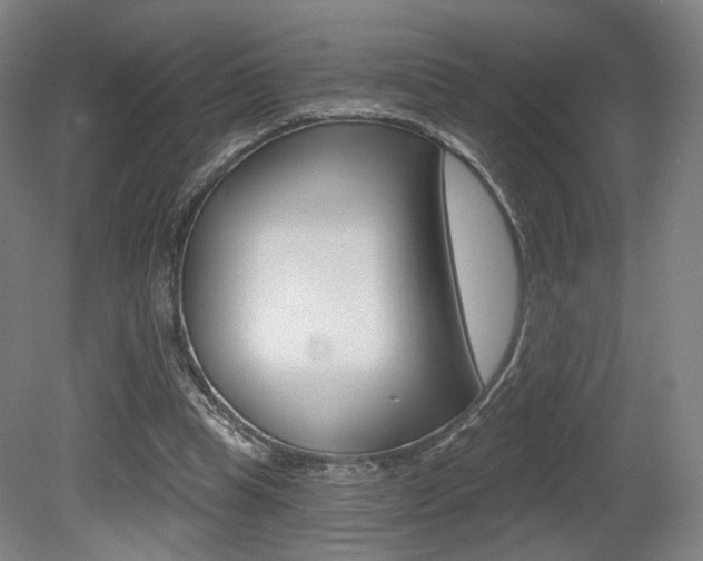 X0000080740345200612150938