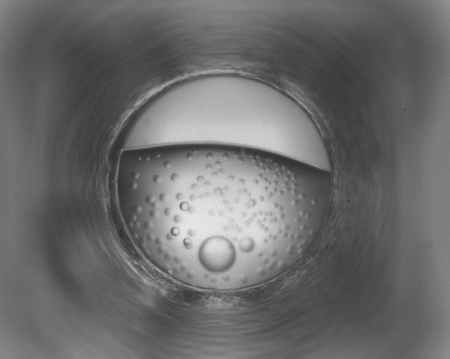X0000080740346200612150938