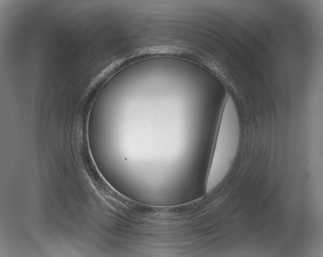 X0000080740348200612150938