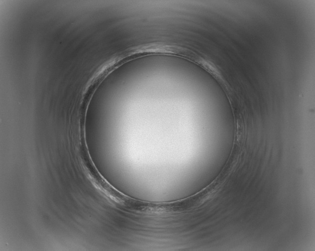 X0000080740349200612150938