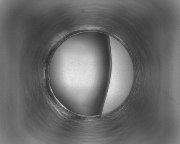 X0000080740350200612150938