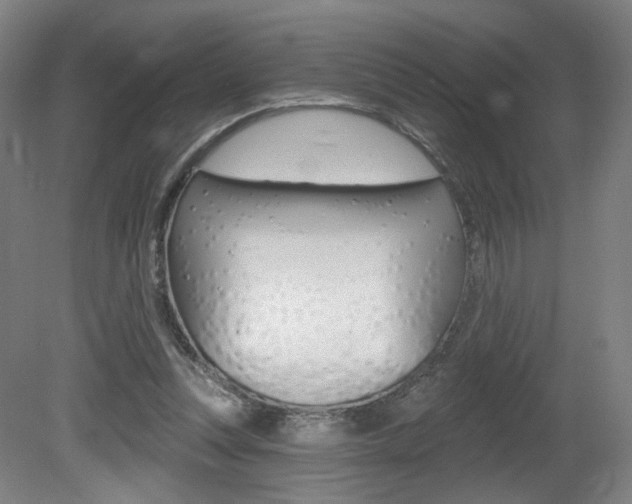 X0000080740351200612150938