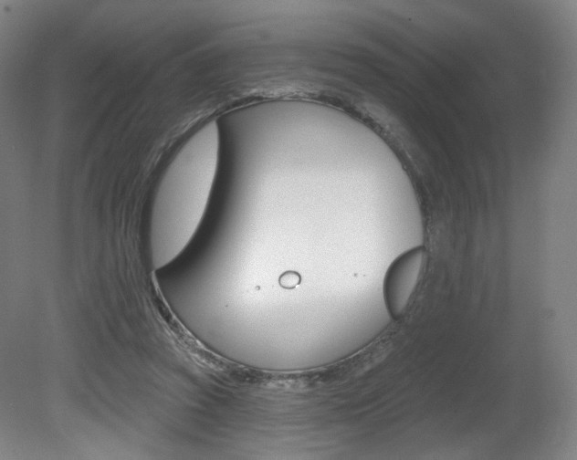 X0000080740353200612150938