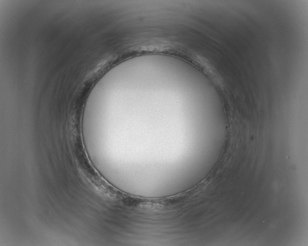 X0000080740354200612150938