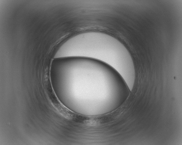 X0000080740356200612150938