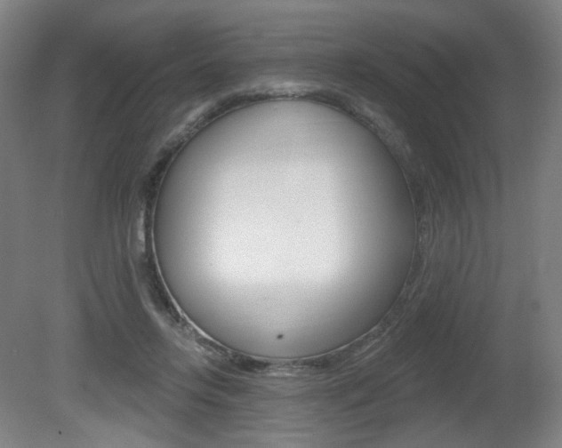 X0000080740358200612150938