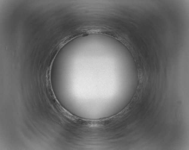 X0000080740360200612150938