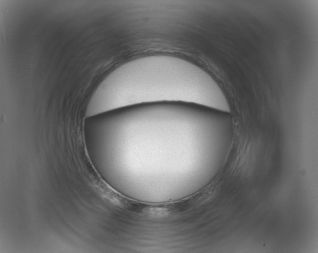 X0000080740361200612150938
